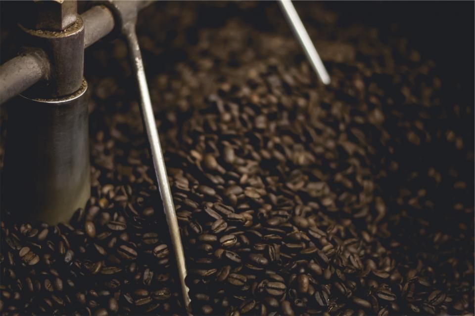 Coffee beans turning in a roasting drum